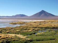 Laguna Colorada, Bolivia