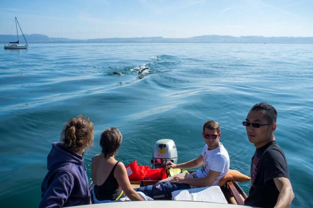 Following the boat